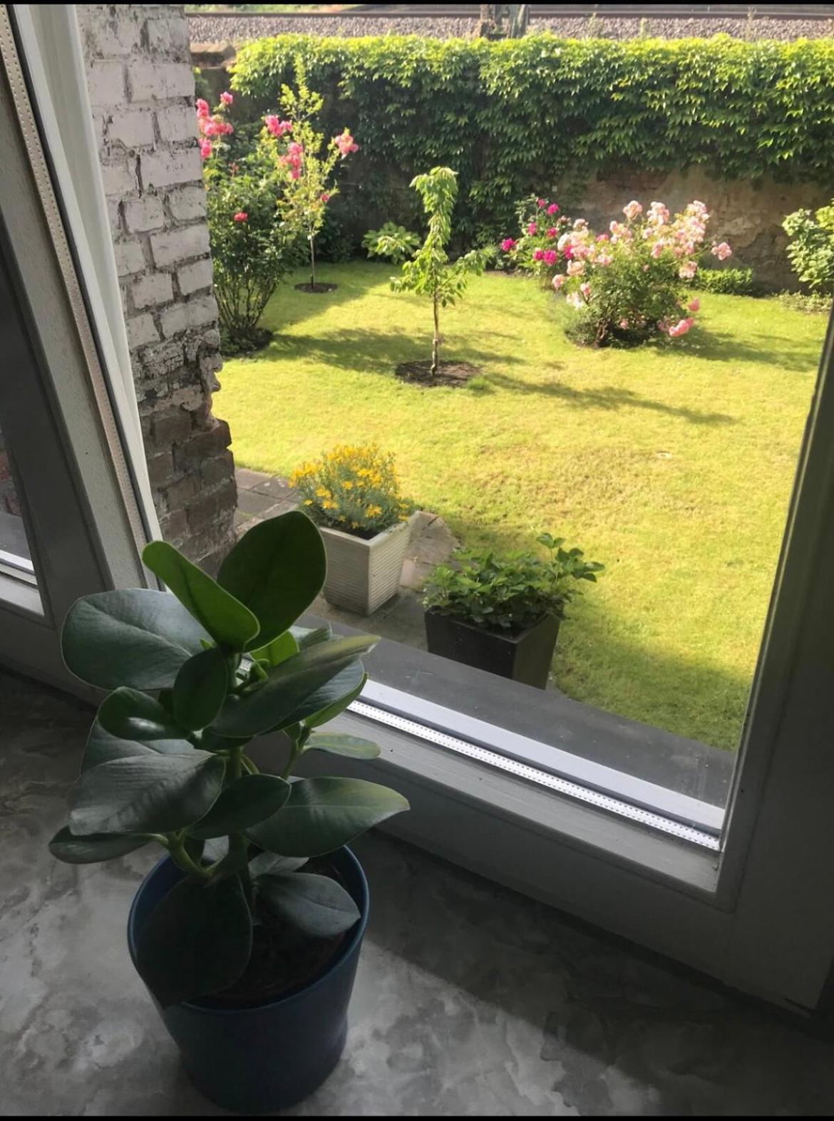 Apartment, Parterre, Für 3 Gäste, Zentral Gelegen, Mitsubishi Halle * Düsseldorf